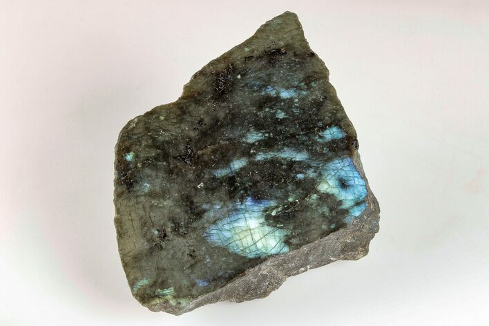 Single Side Polished Labradorite - Madagascar #202658